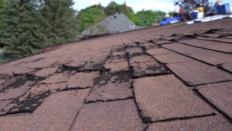 Best Roof Maintenance and Cleaning  in Bladenboro, NC