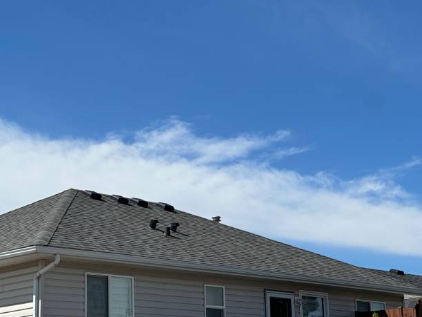 Best Asphalt Shingle Roofing  in Bladenboro, NC